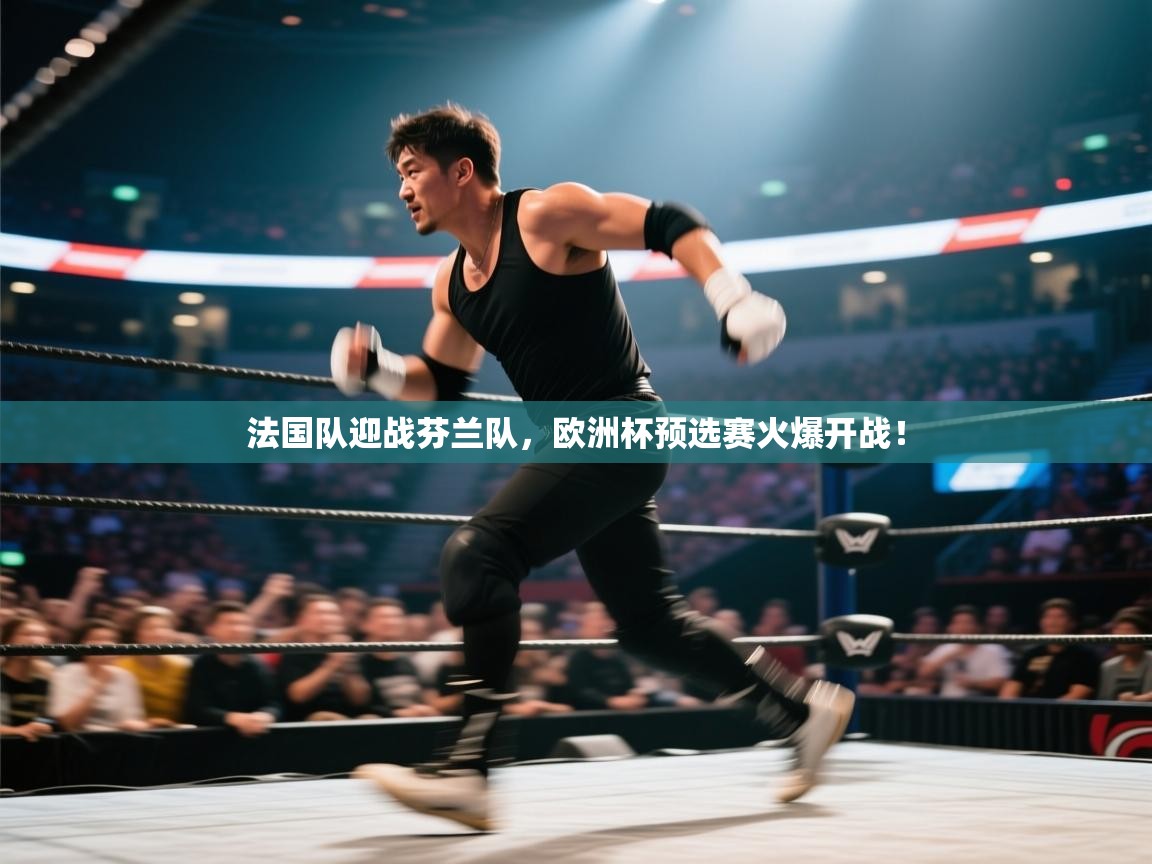 法国队迎战芬兰队,欧洲杯预选赛火爆开战! 第1张