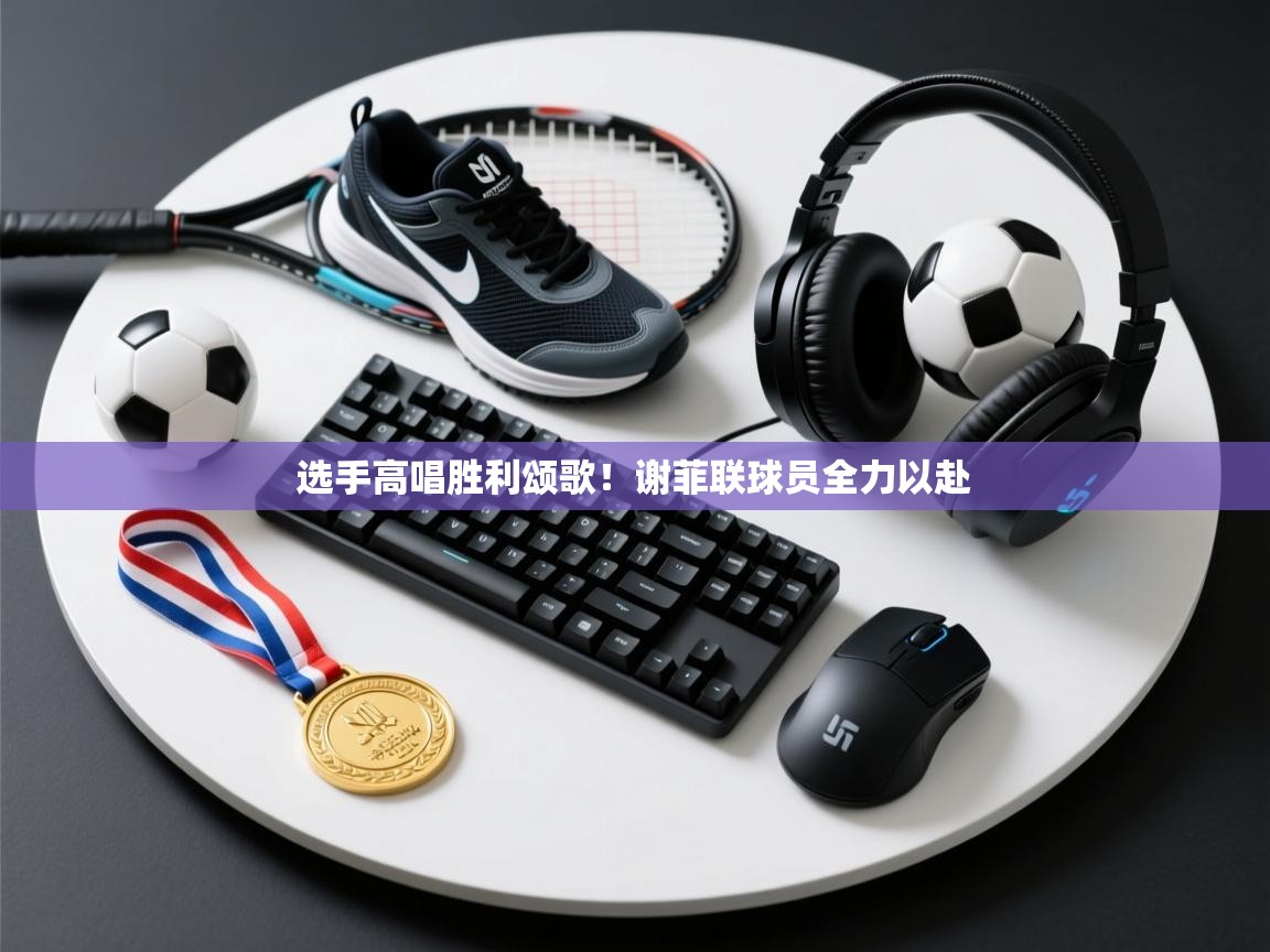 选手高唱胜利颂歌!谢菲联球员全力以赴 第1张