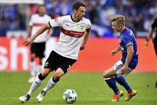 m6米乐官方入口-斯图加特击败强敌，一举反超对手的简单介绍