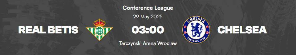 米乐体育官网-匈牙利逆袭成功，黑马之路依旧