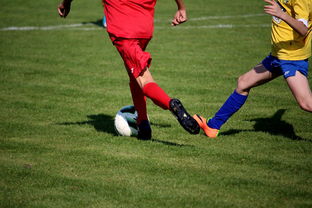 米乐直播官网-美因茨客场逆转战胜弗莱堡，豪取三分！，美因茨对佛莱堡